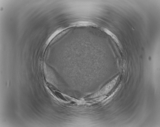 X0000087671473200705251606