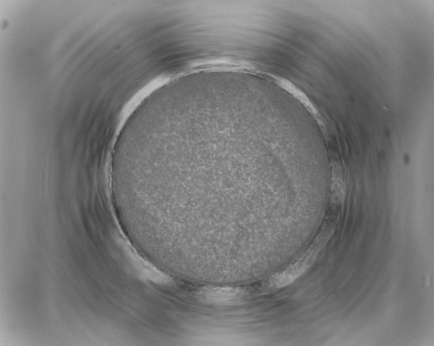 X0000087671474200705251606