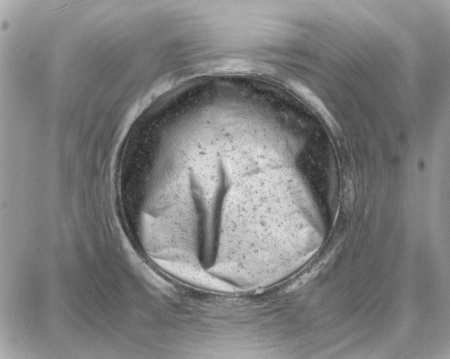 X0000087671475200705251606