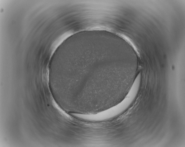 X0000087671476200705251606