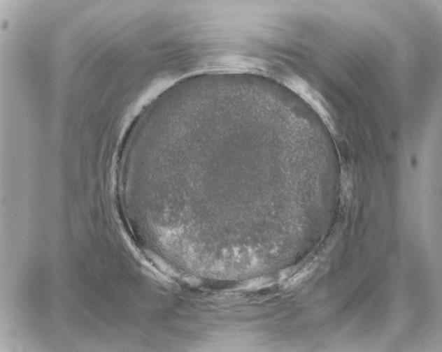 X0000087671477200705251606