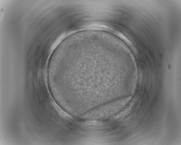 X0000087671478200705251606