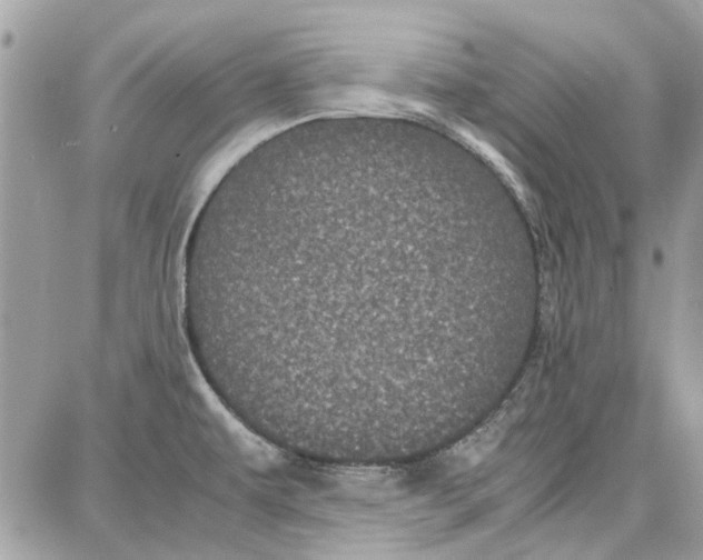 X0000087671479200705251606