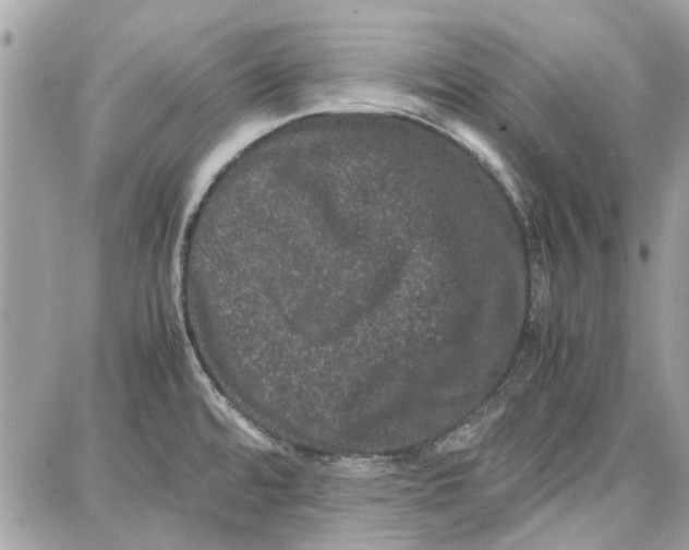 X0000087671480200705251606