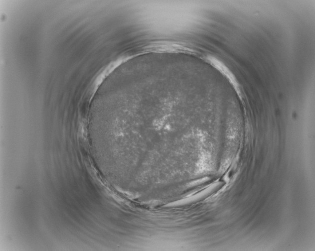 X0000087671481200705251606