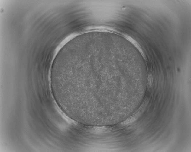 X0000087671482200705251606