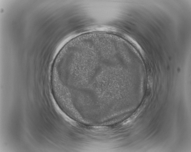 X0000087671483200705251606