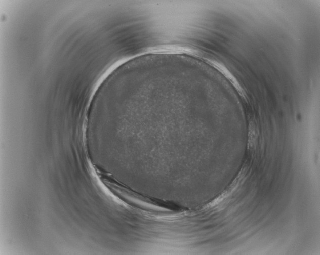 X0000087671484200705251606