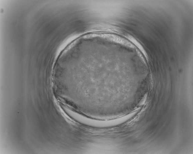 X0000087671485200705251606