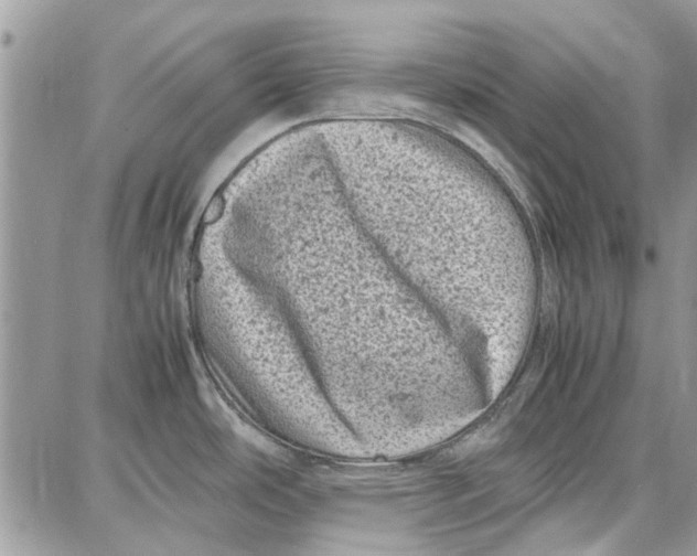 X0000087671486200705251606