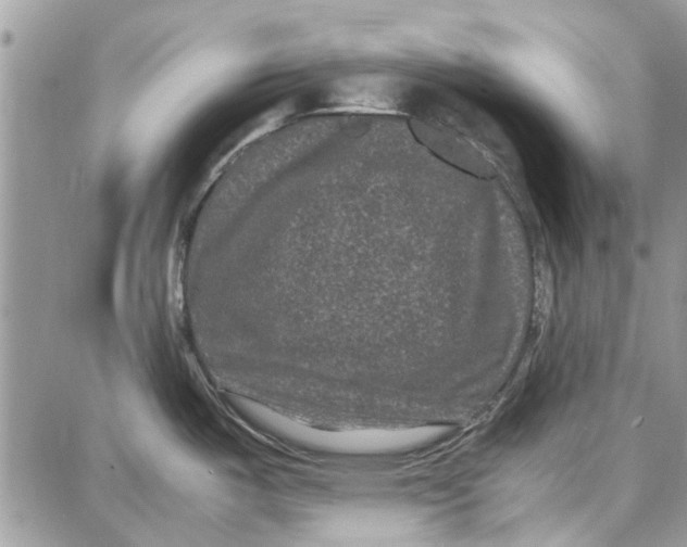 X0000087671487200705251606