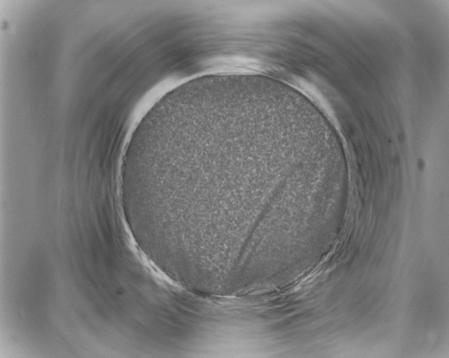 X0000087671488200705251606