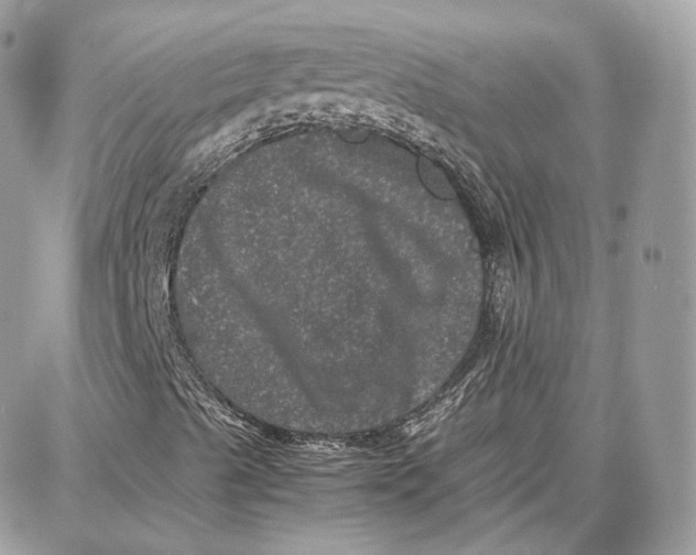 X0000087671489200705251605