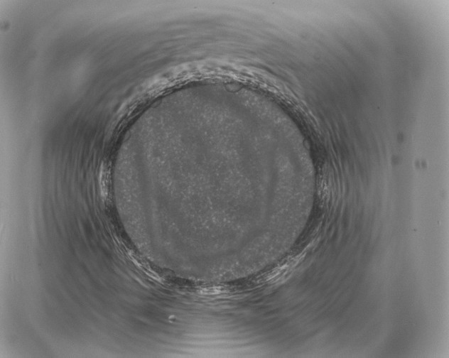 X0000087671490200705251605