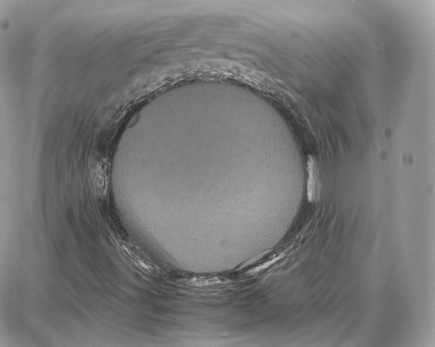 X0000087671491200705251605