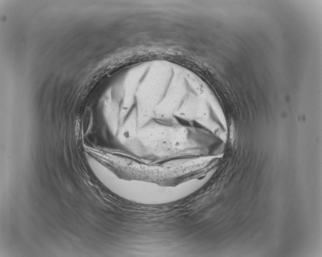 X0000087671492200705251605