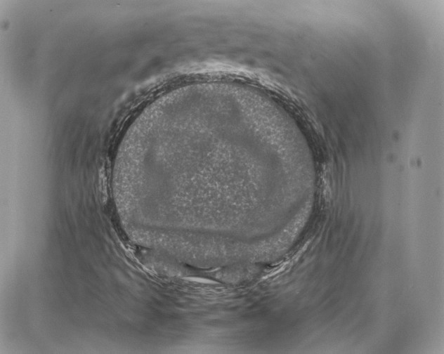 X0000087671493200705251605