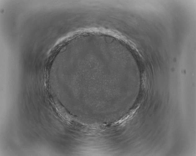 X0000087671494200705251605