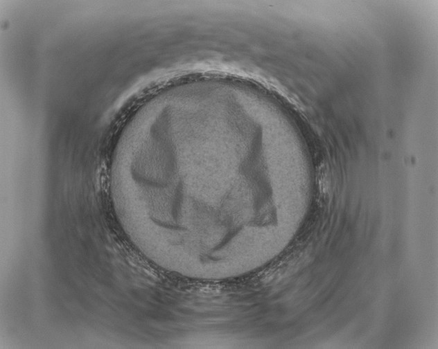 X0000087671495200705251605