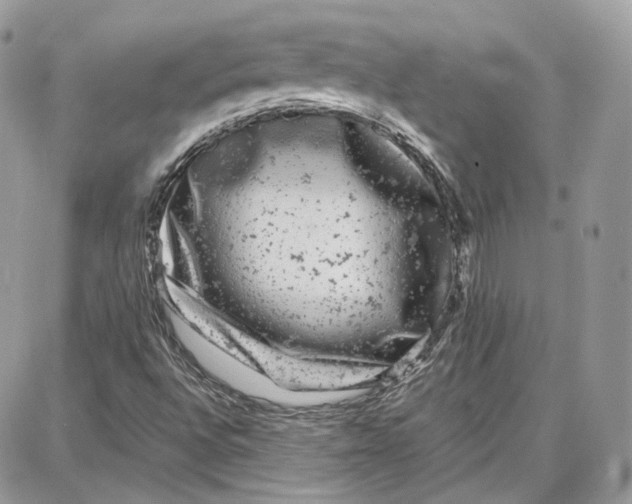 X0000087671496200705251605