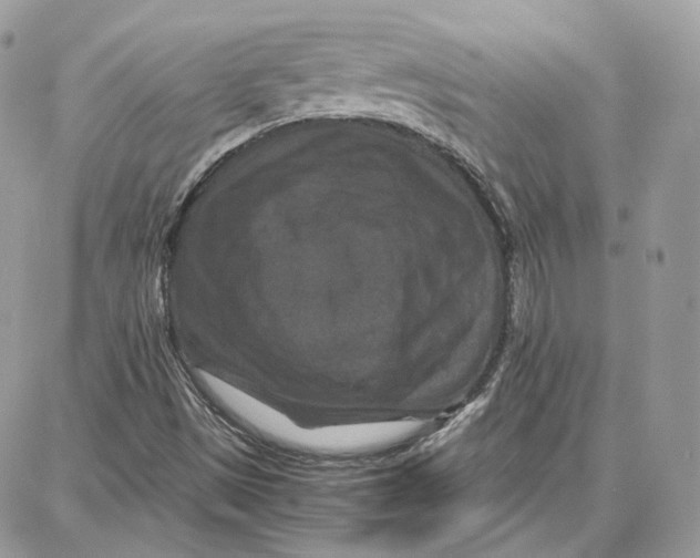 X0000087671497200705251605