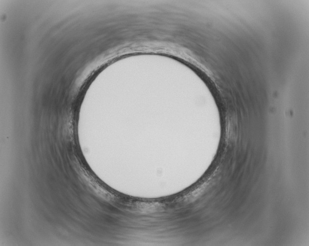 X0000087671498200705251605