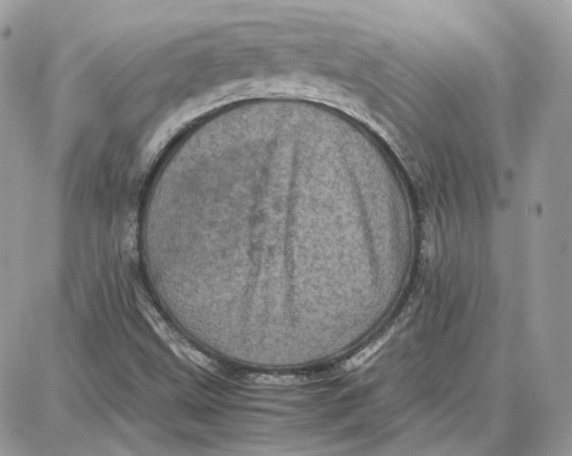 X0000087671499200705251605