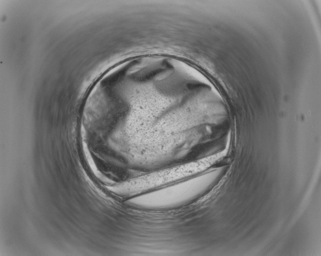 X0000087671500200705251606