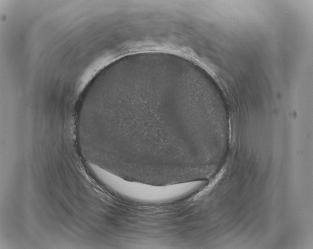 X0000087671501200705251606