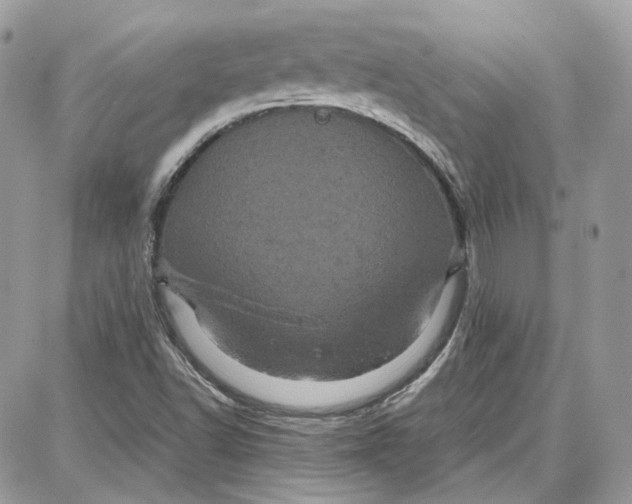 X0000087671502200705251606