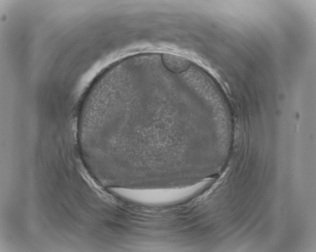 X0000087671503200705251606