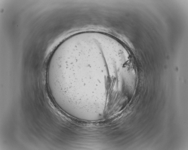 X0000087671504200705251606