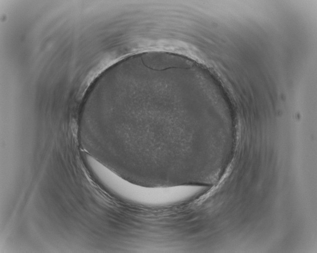 X0000087671505200705251606