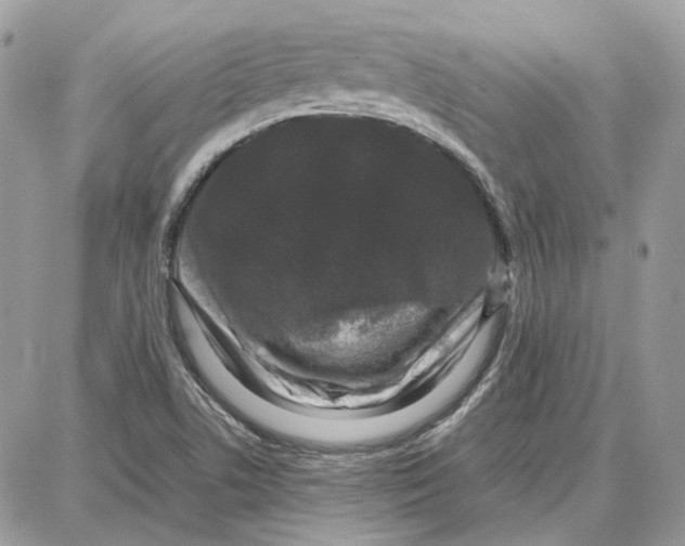 X0000087671506200705251606