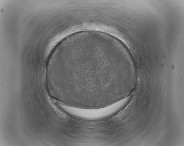 X0000087671507200705251606