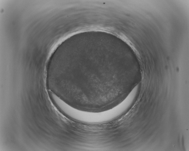 X0000087671508200705251606