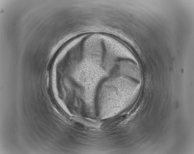 X0000087671509200705251606