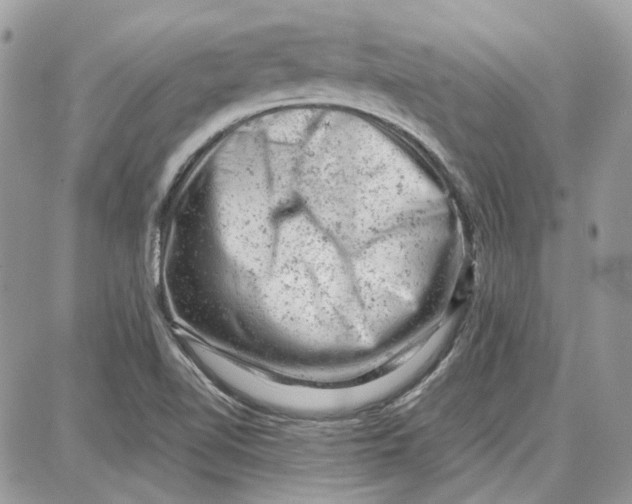 X0000087671510200705251606