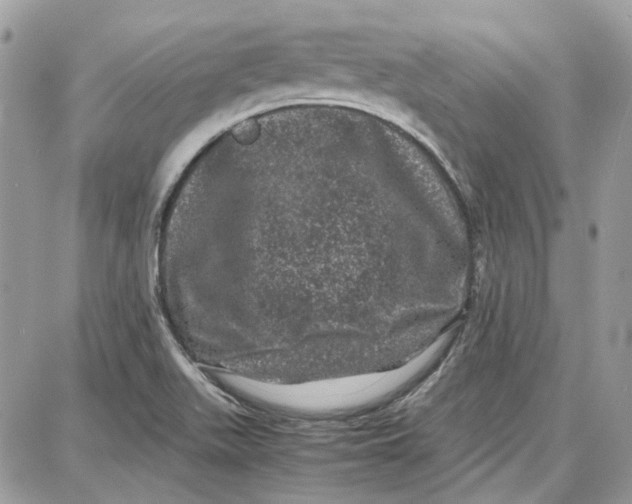 X0000087671511200705251606