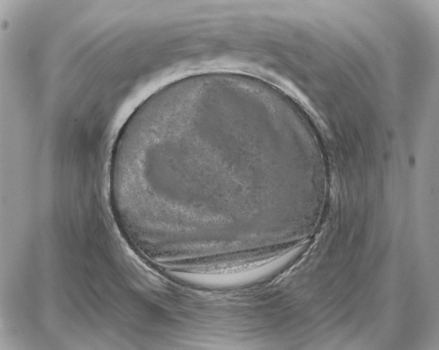 X0000087671512200705251606