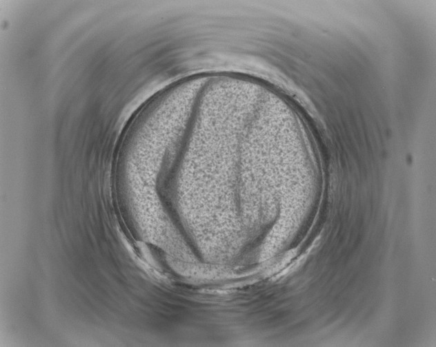 X0000087671513200705251606