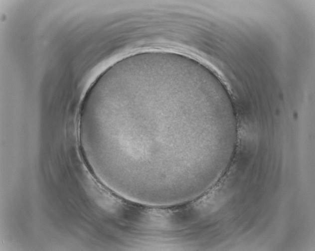 X0000087671514200705251606