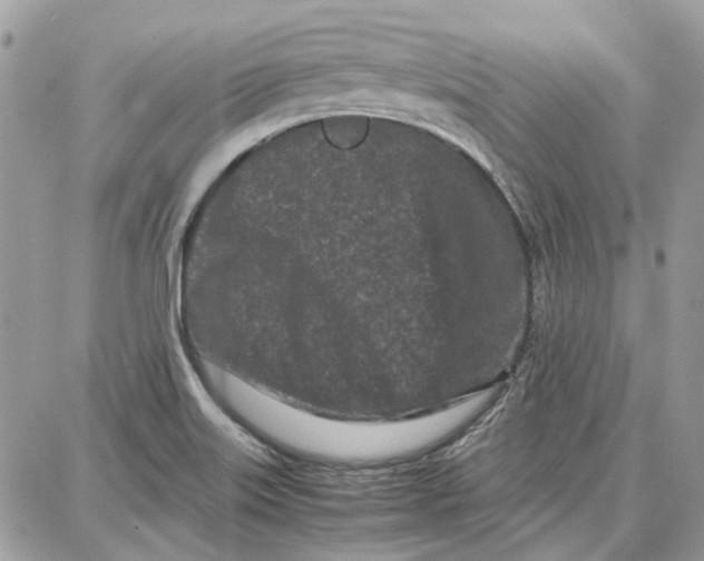 X0000087671515200705251606