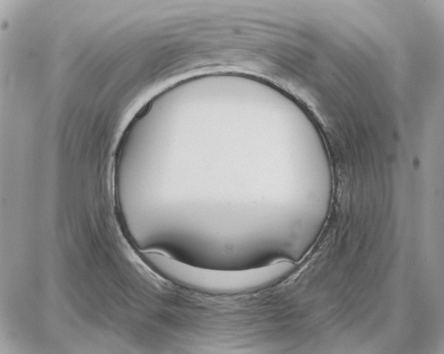 X0000087671516200705251606