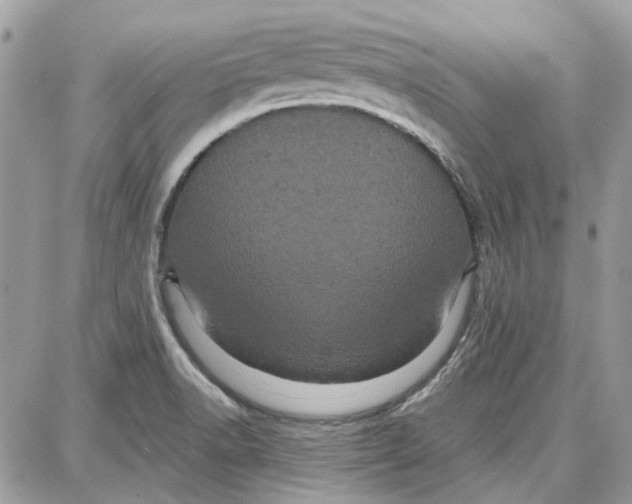 X0000087671518200705251606