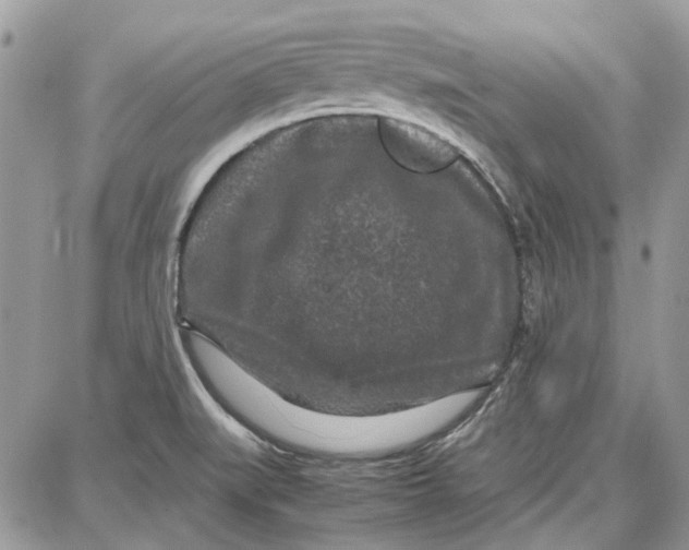 X0000087671519200705251606