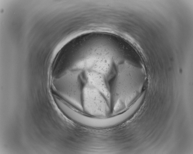 X0000087671520200705251606