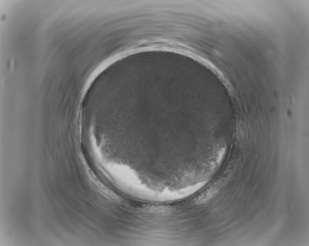 X0000087671522200705251606