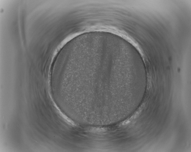 X0000087671525200705251606