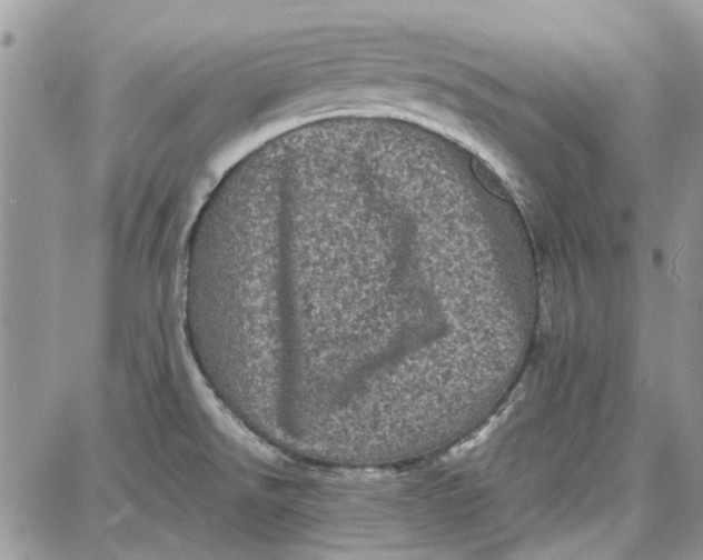 X0000087671526200705251606